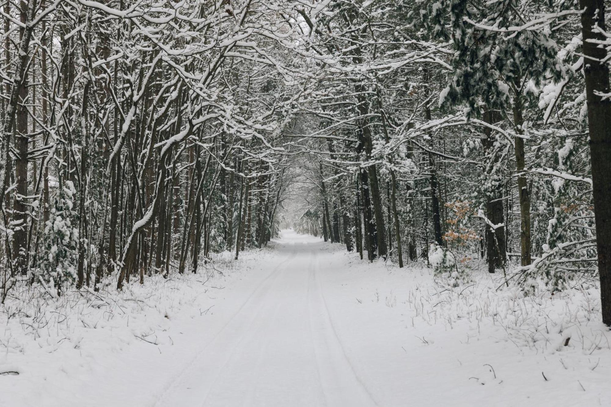 Scenic Drive Resort Muskegon Zewnętrze zdjęcie